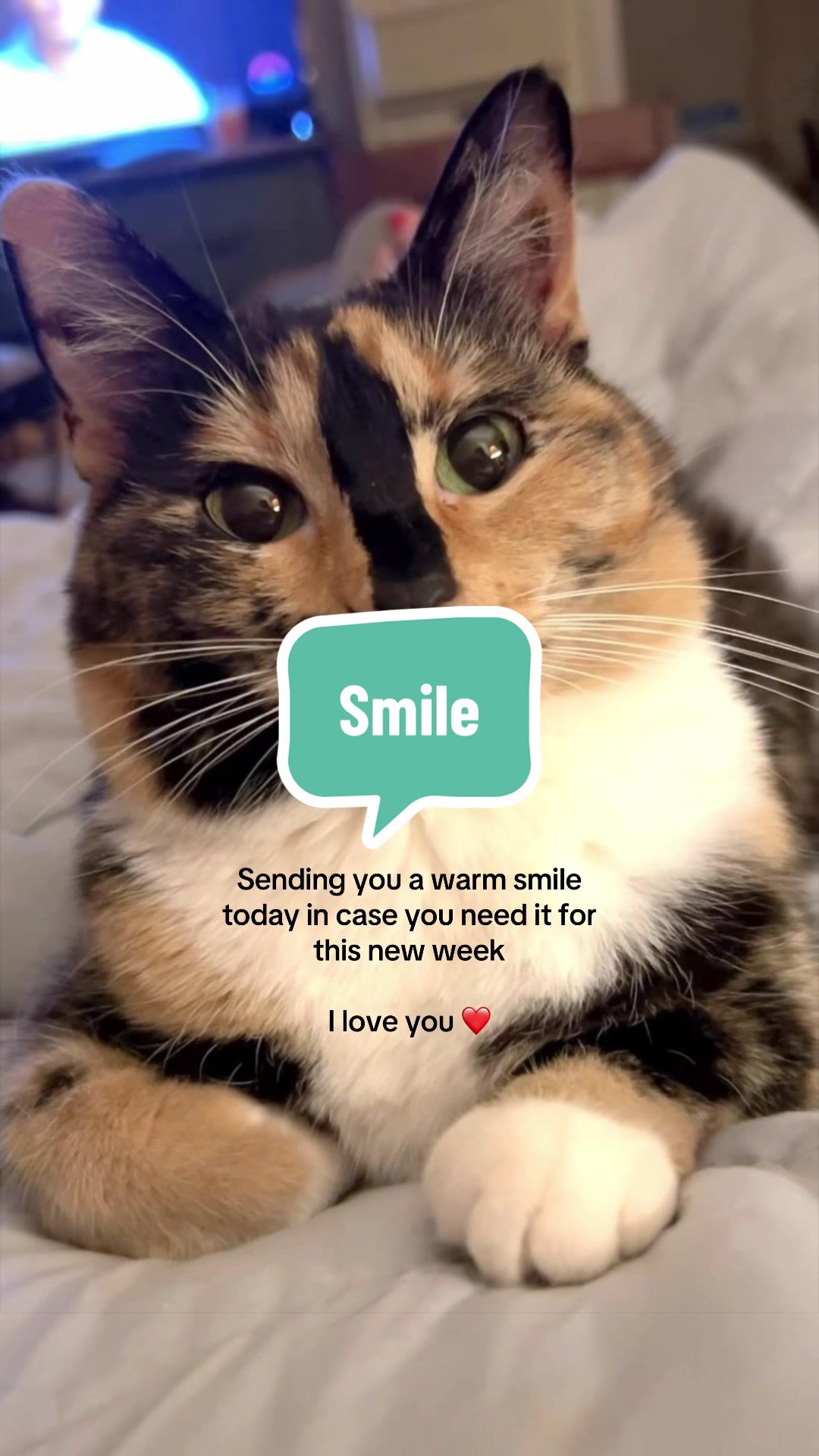 @SnickersTheSmilingCat