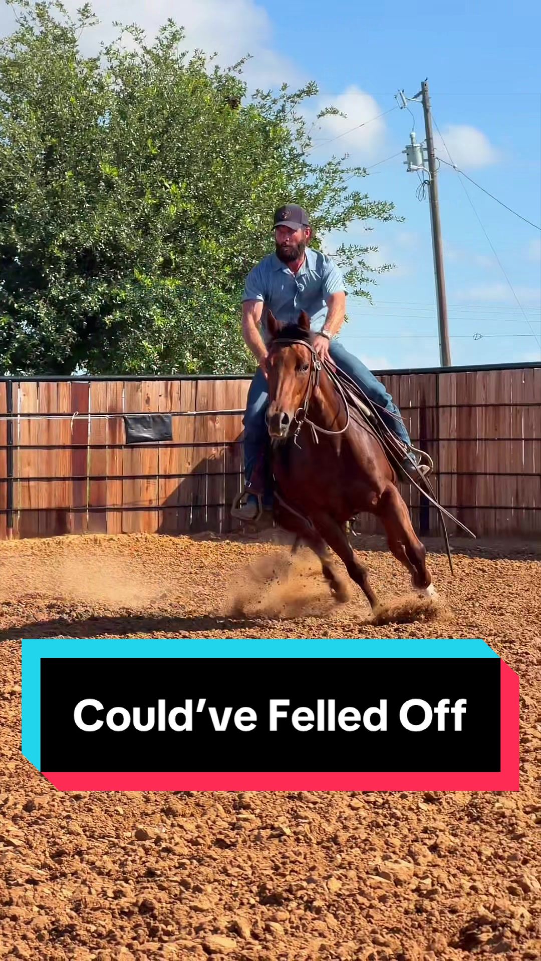 @WS Horses