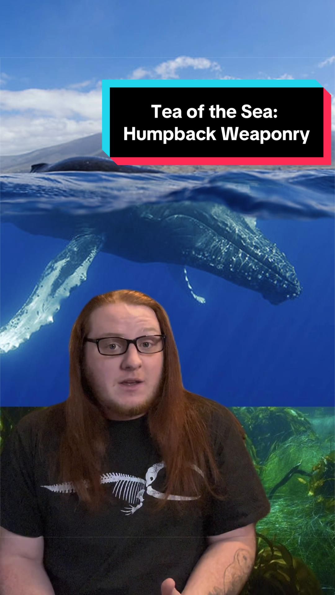 @Paleopedia