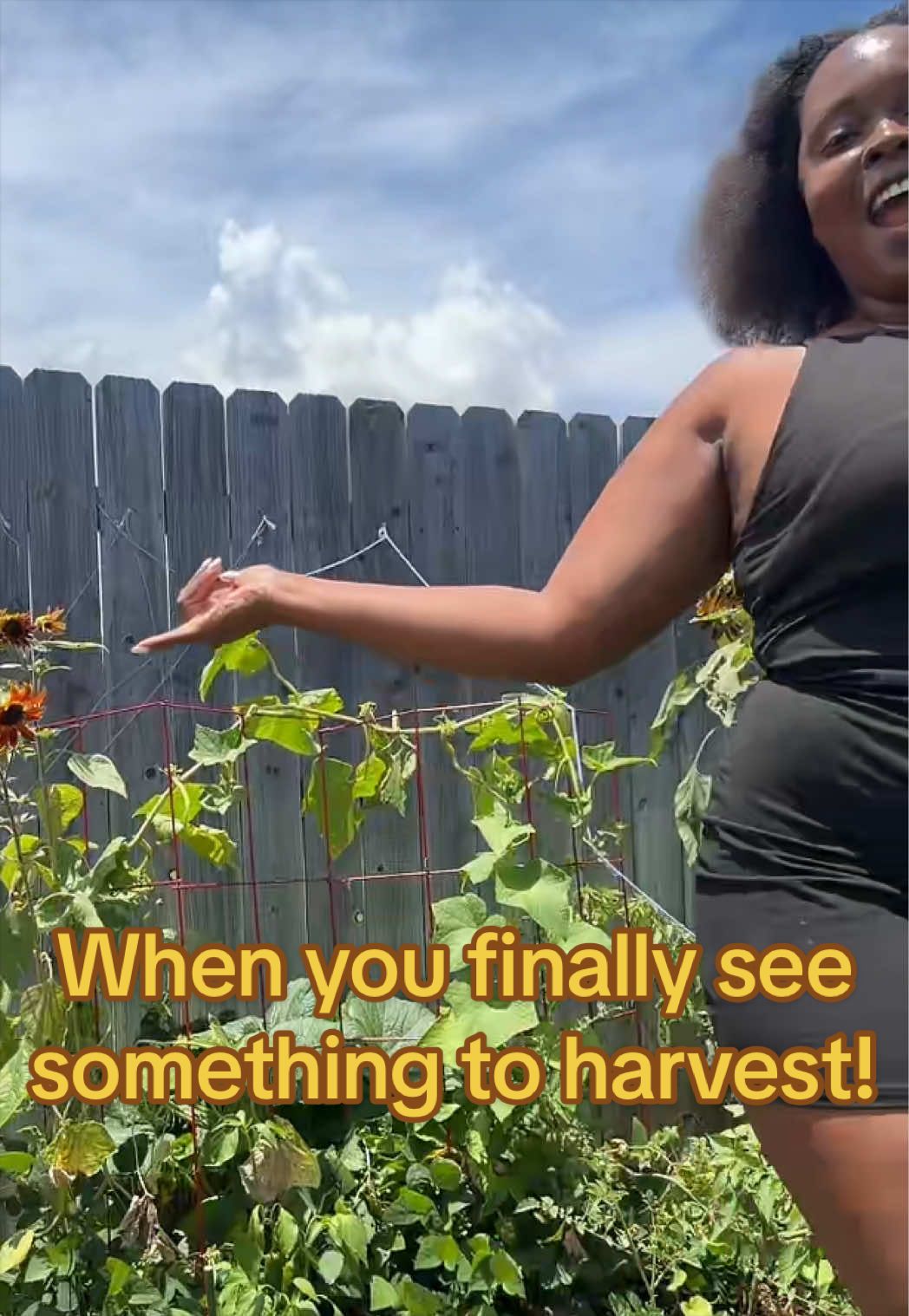 @Our Texas Garden | zone8b