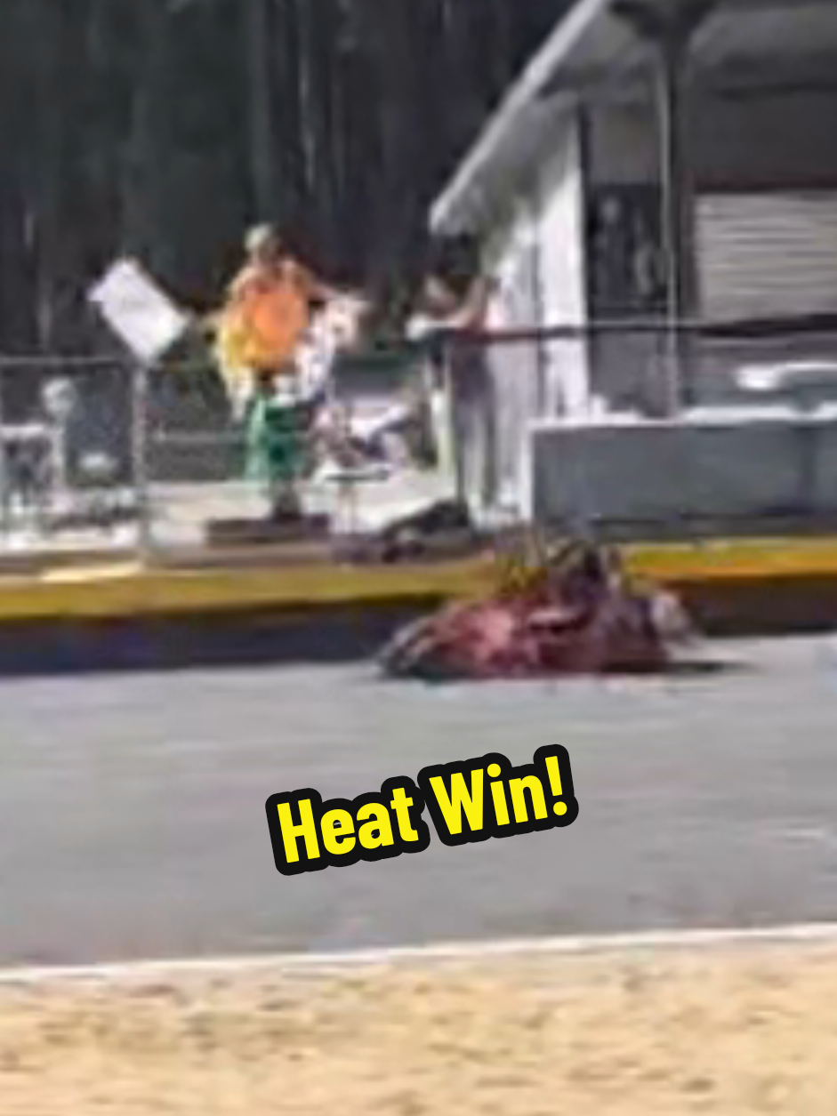@X Man Racing