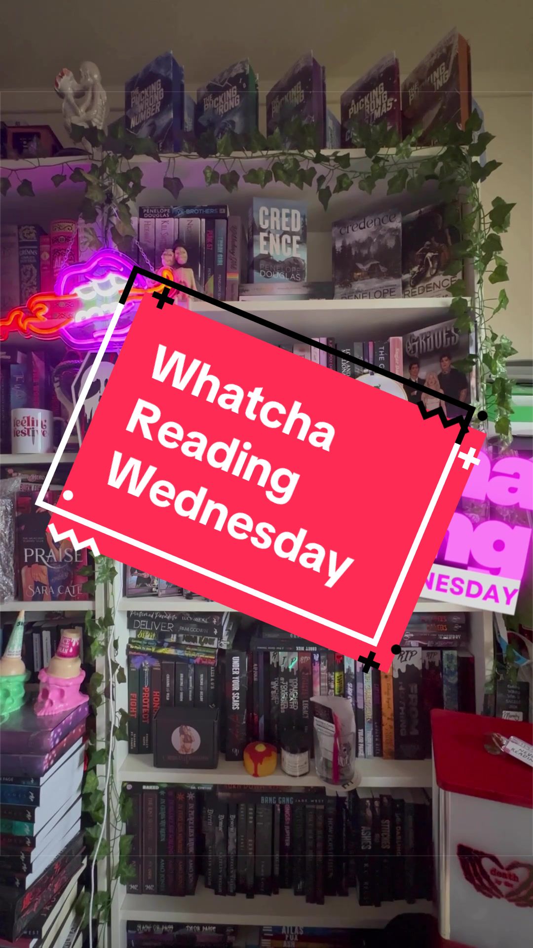@themandysin 📚🦇
