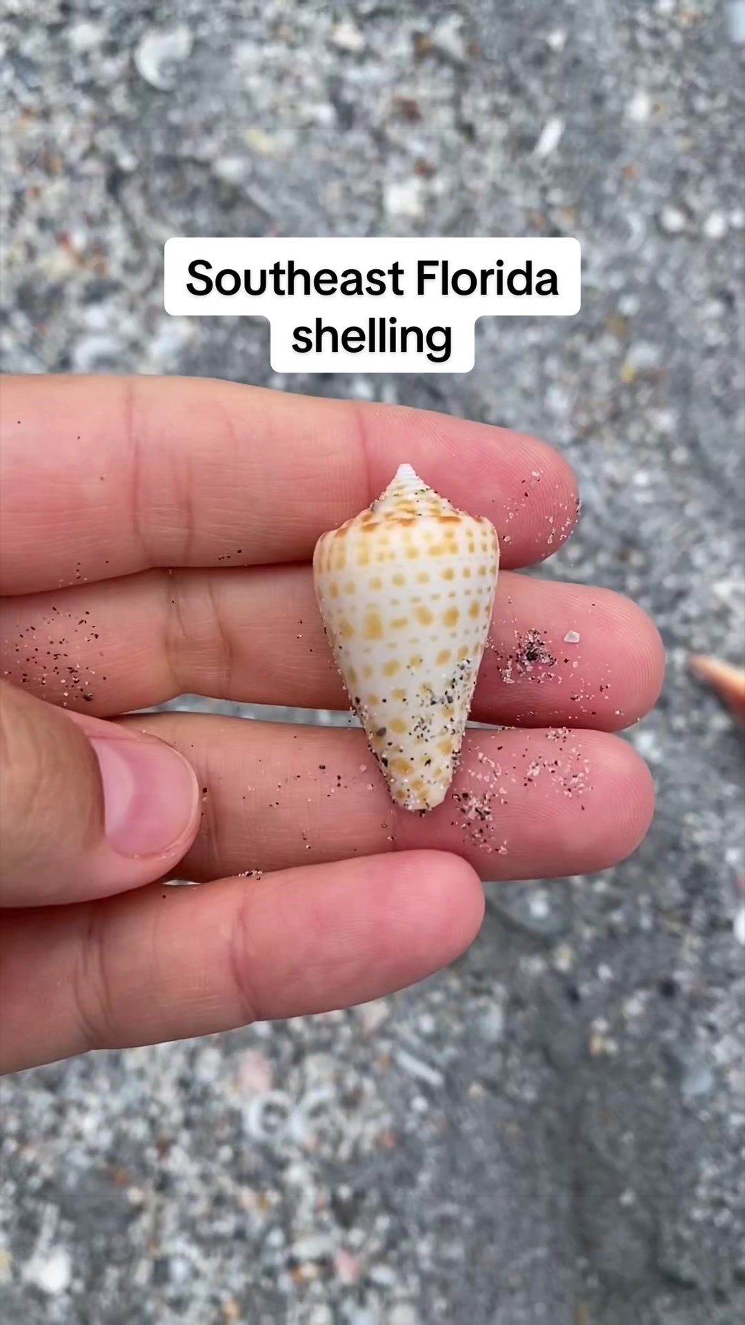 @🐚Jojo🌴