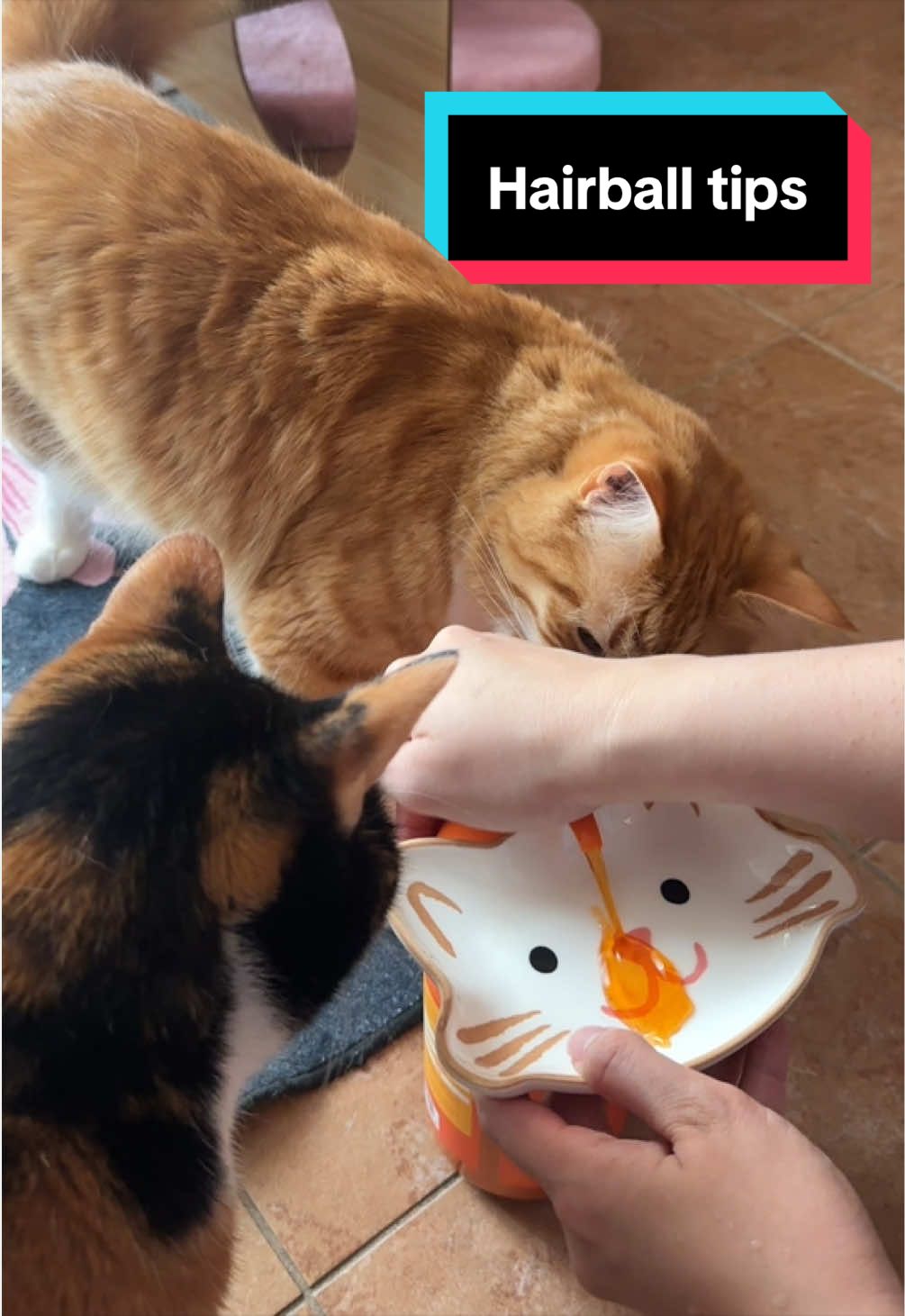 @meloncreamcat