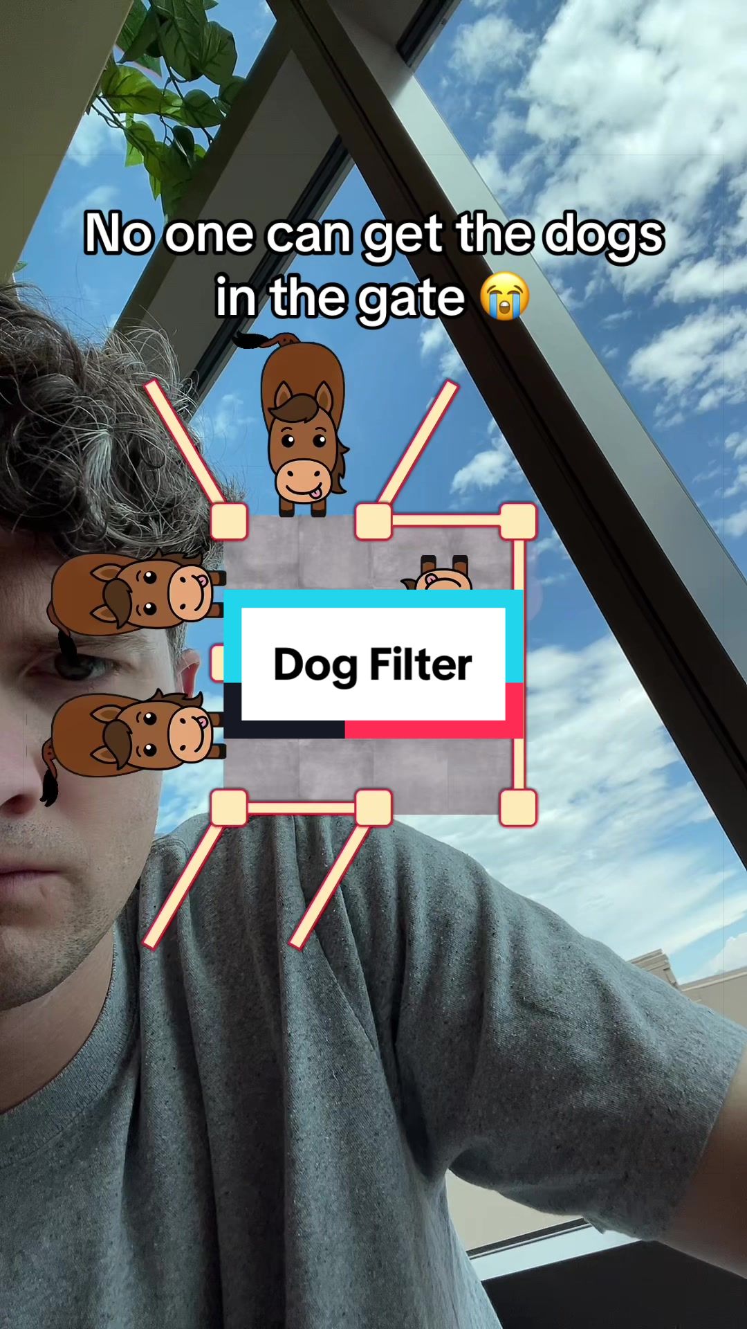 @The Real Filter Dude