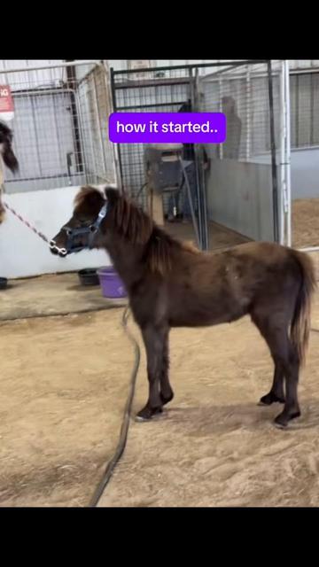 @Dr.Nicole-VetMed