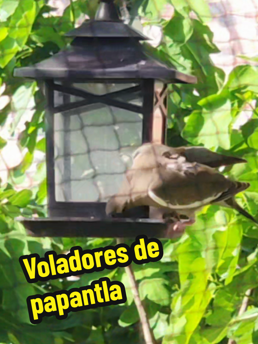 @Mi Rincón Favorito