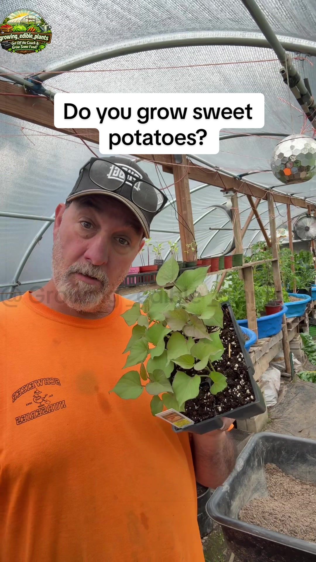 @GROWING_EDIBLE_PLANTS