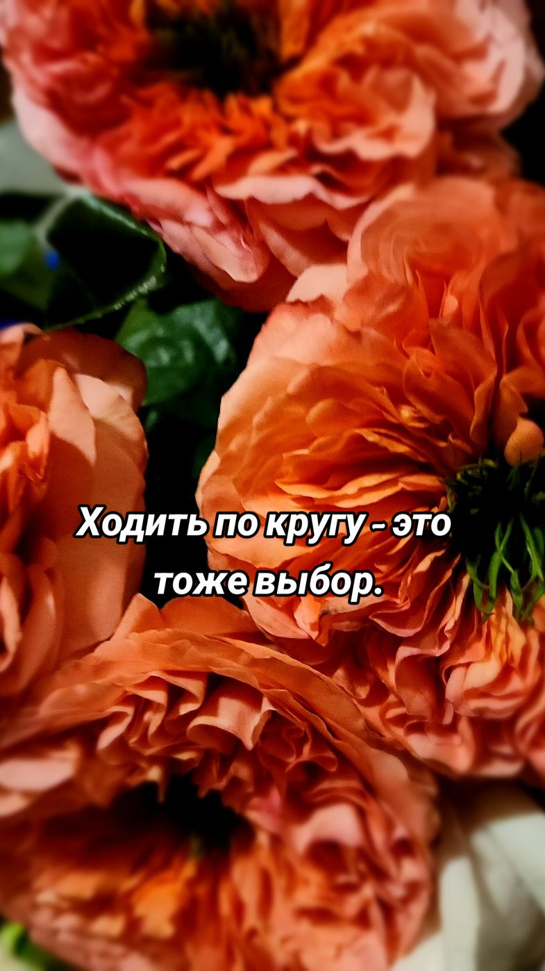@Воронина Татьяна