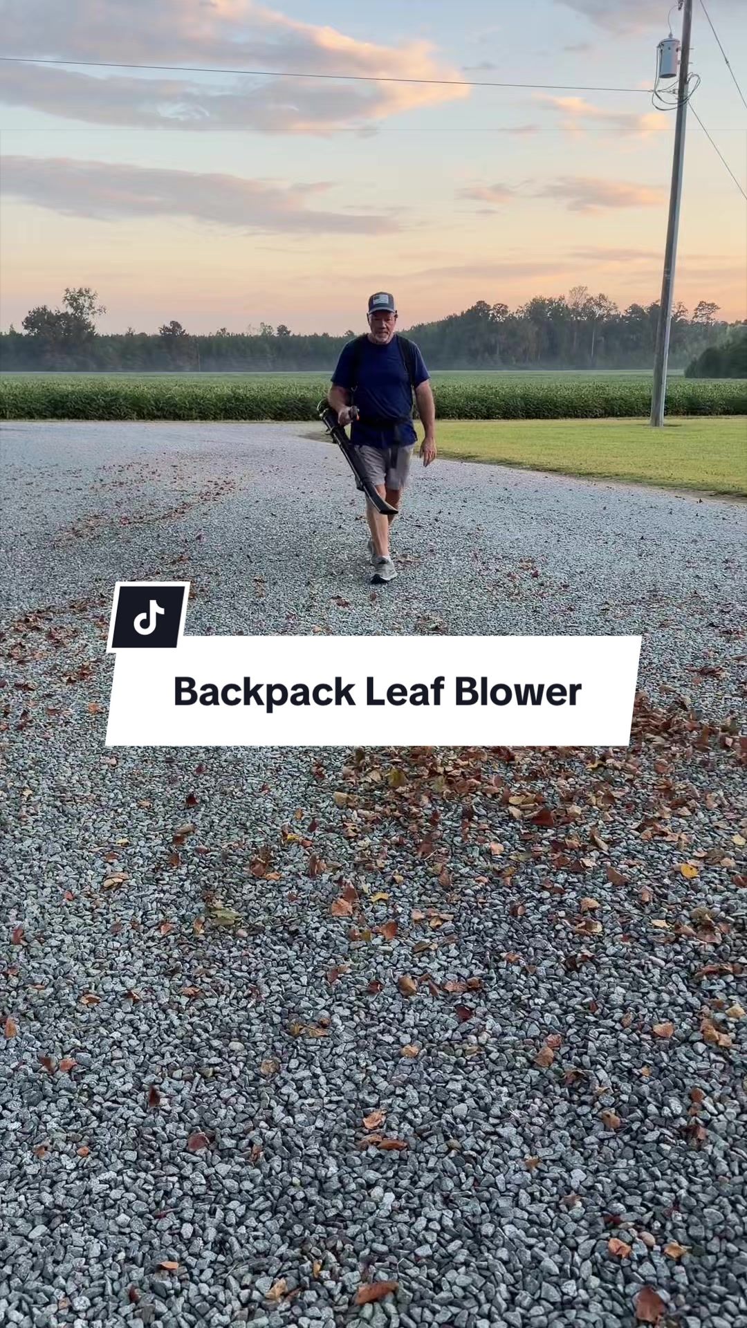 @little_mike_1