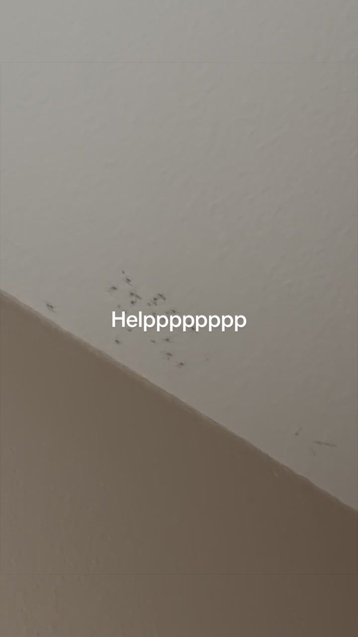 @M