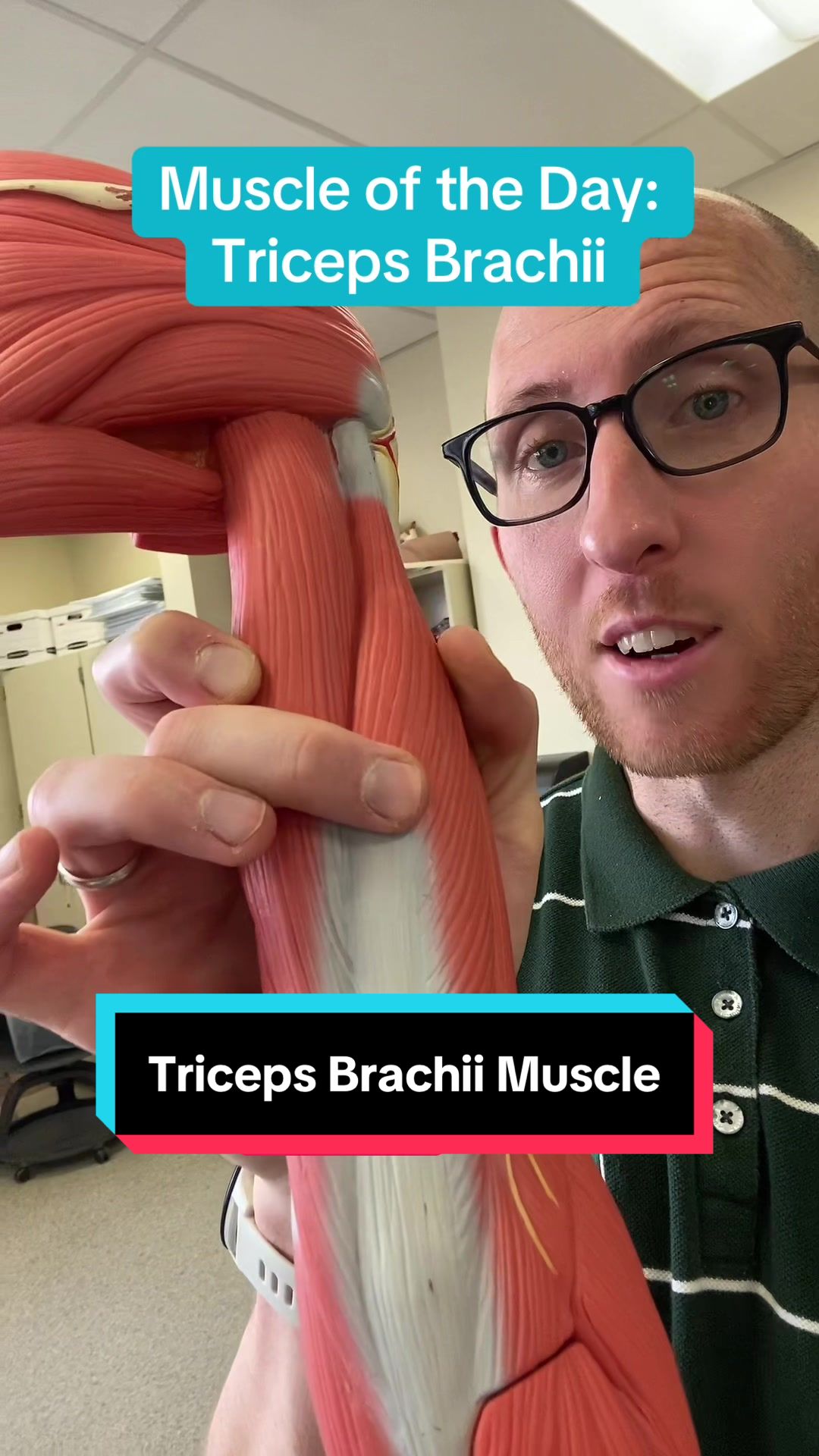 @musclesdaily