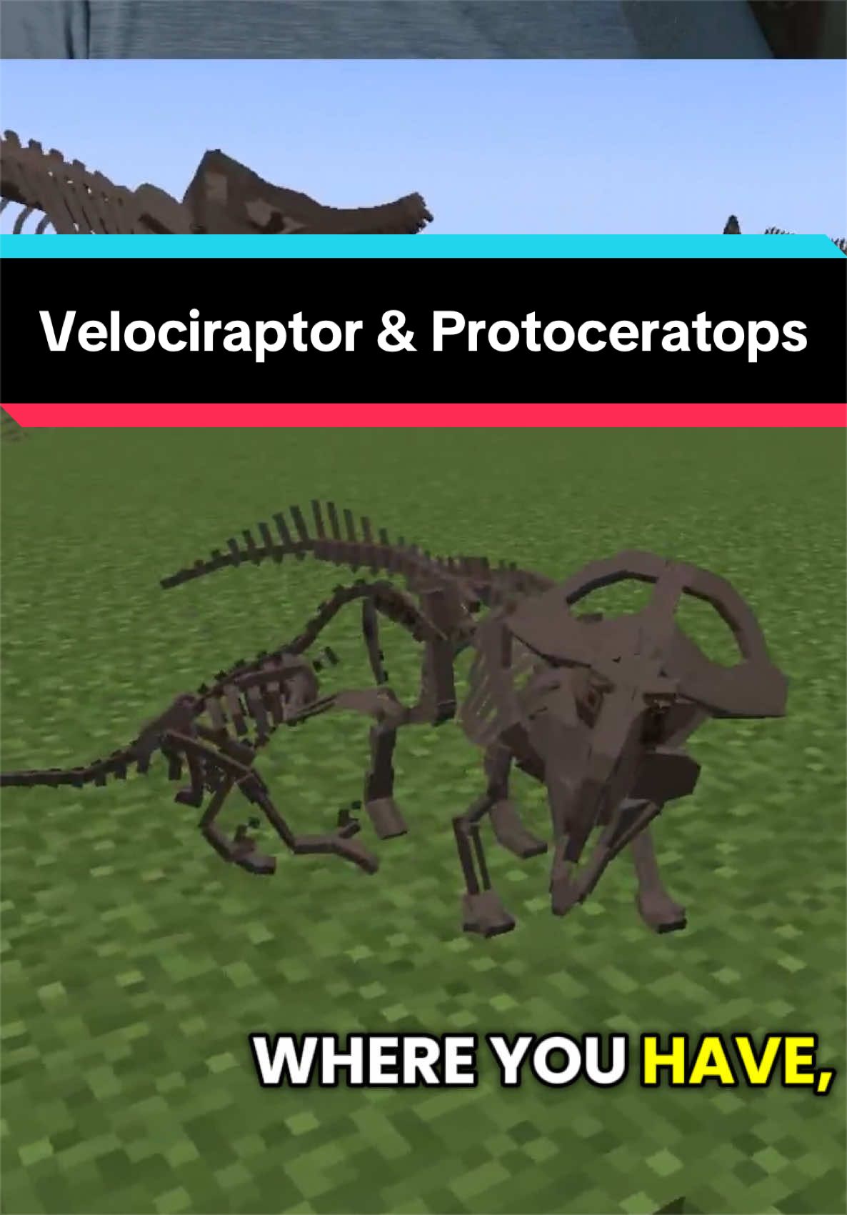 @Dino Guy