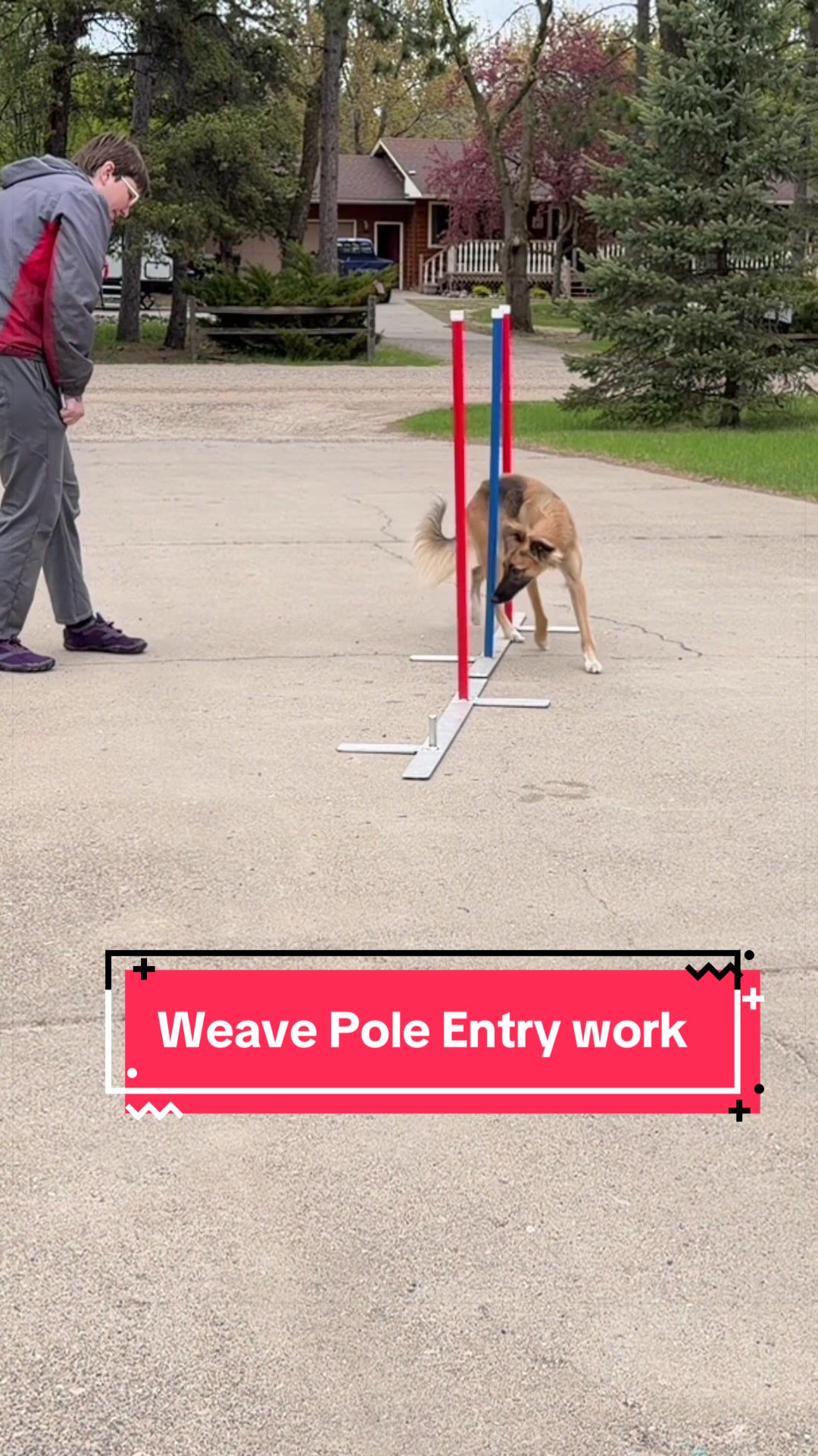 @Laura Waudby - Dog Sports