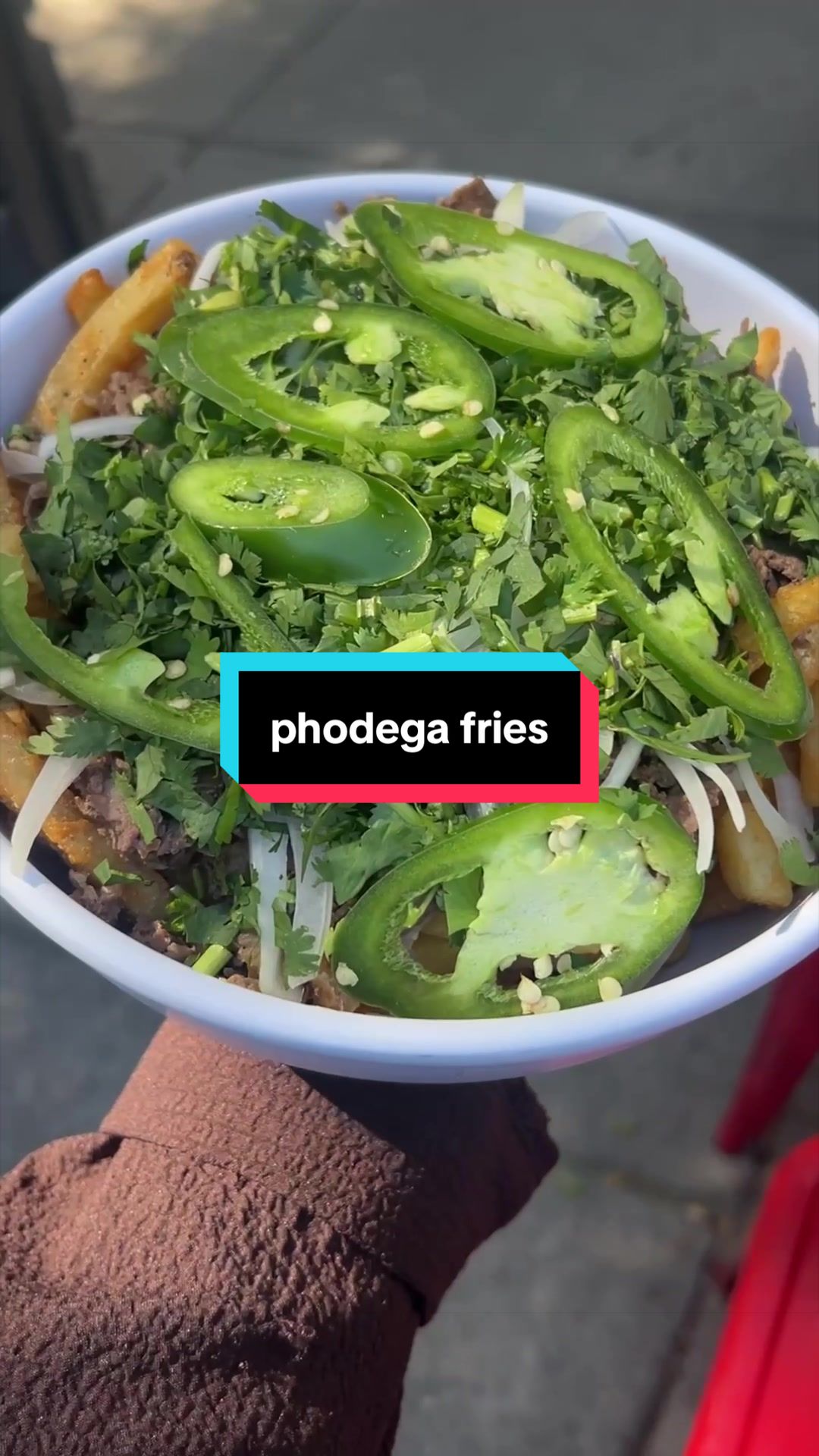 @phodega