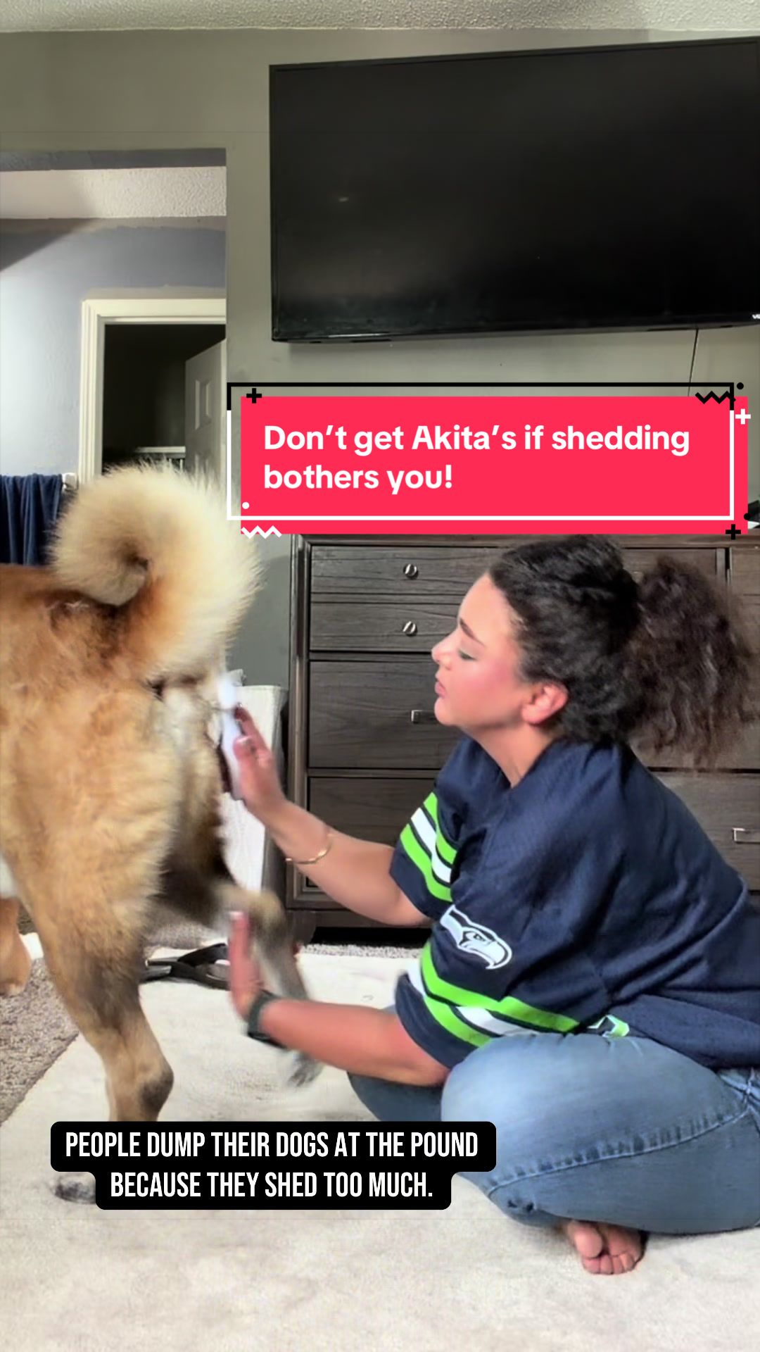 @Akita Brothers