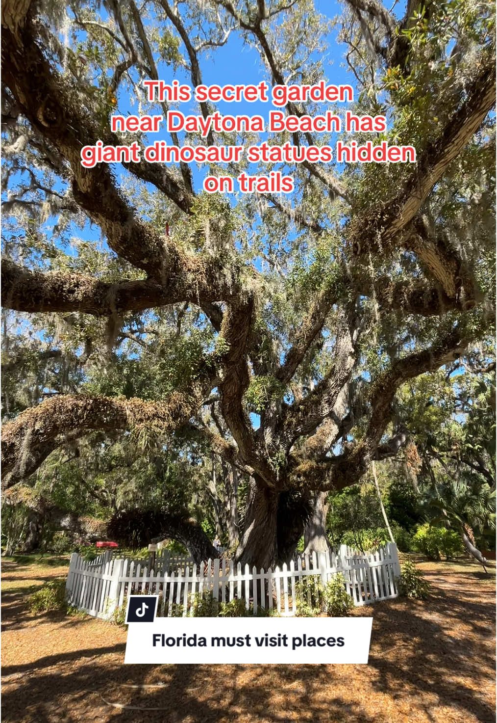@Natalia | FL Mom + Homeschool