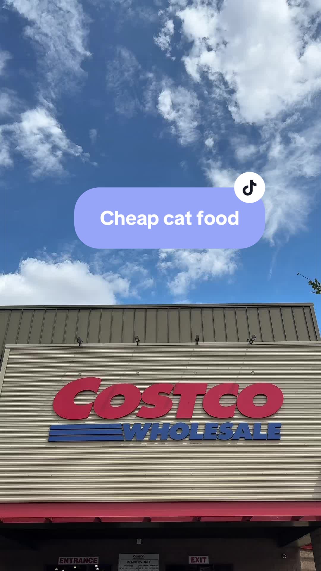@Feminist Kitty | Cat Nutrition