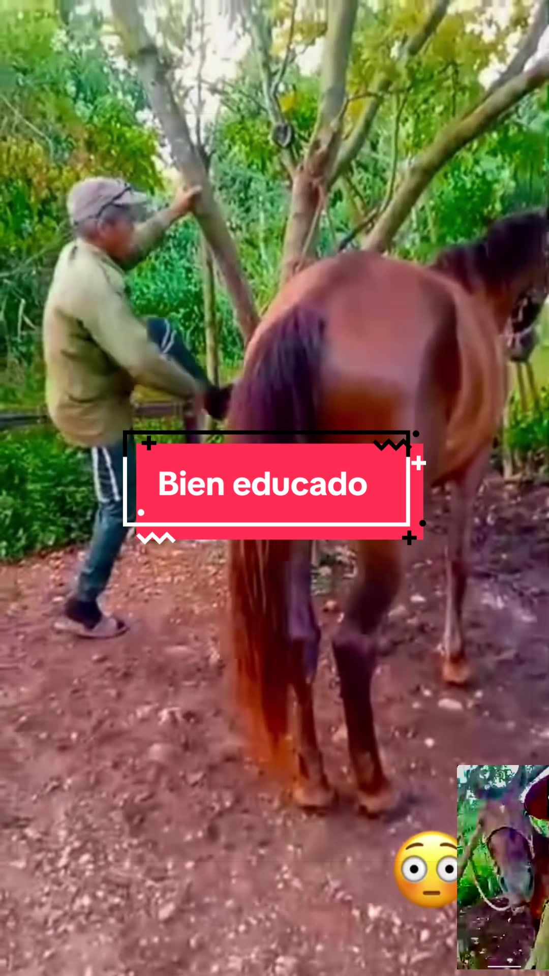 @Loida