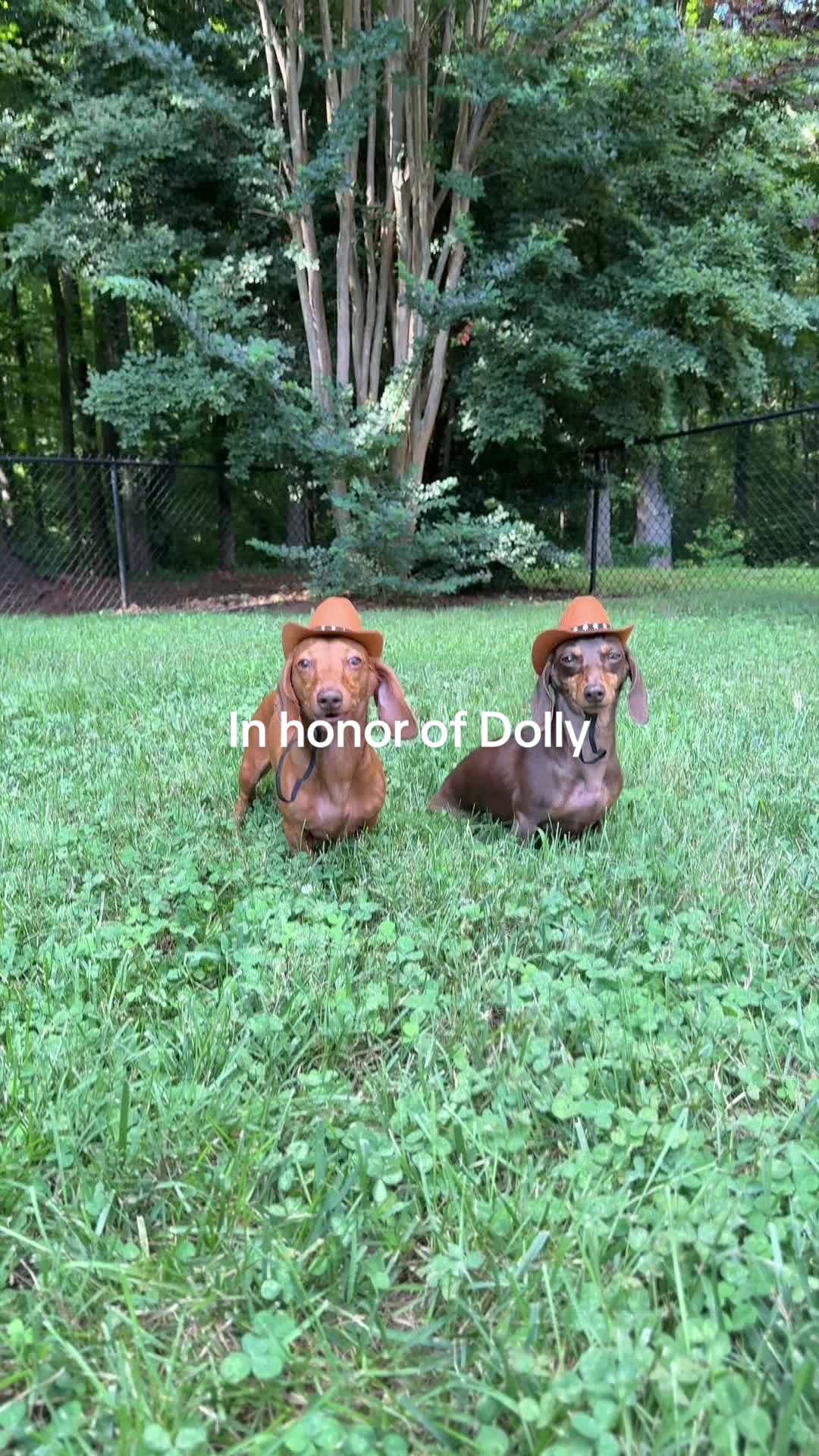 @Sarah and the Peanuts