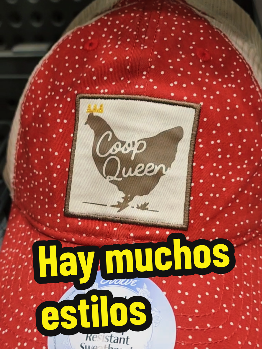 @Mi Rinc&oacute;n Favorito