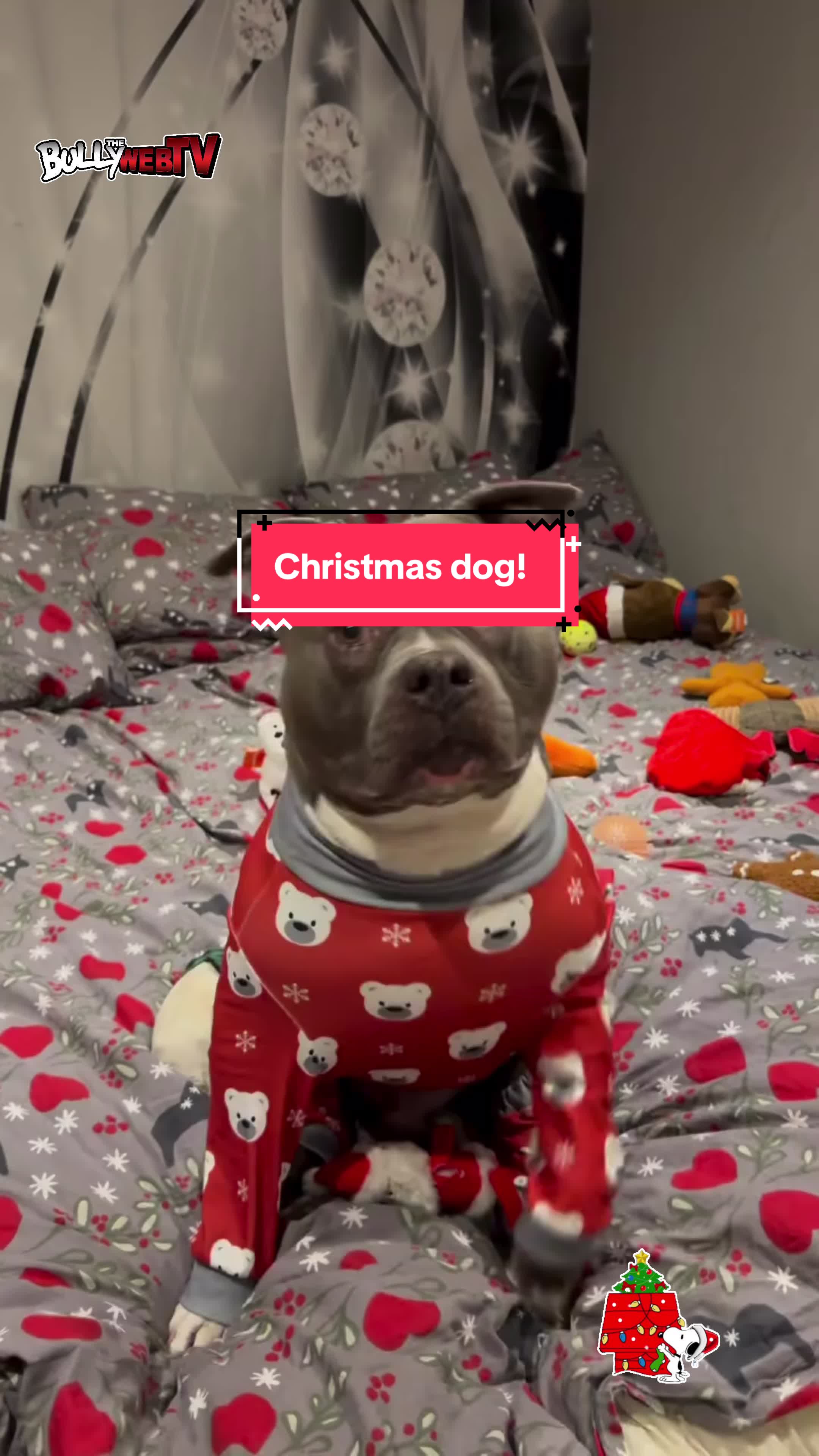 @Official_BullyWebTV