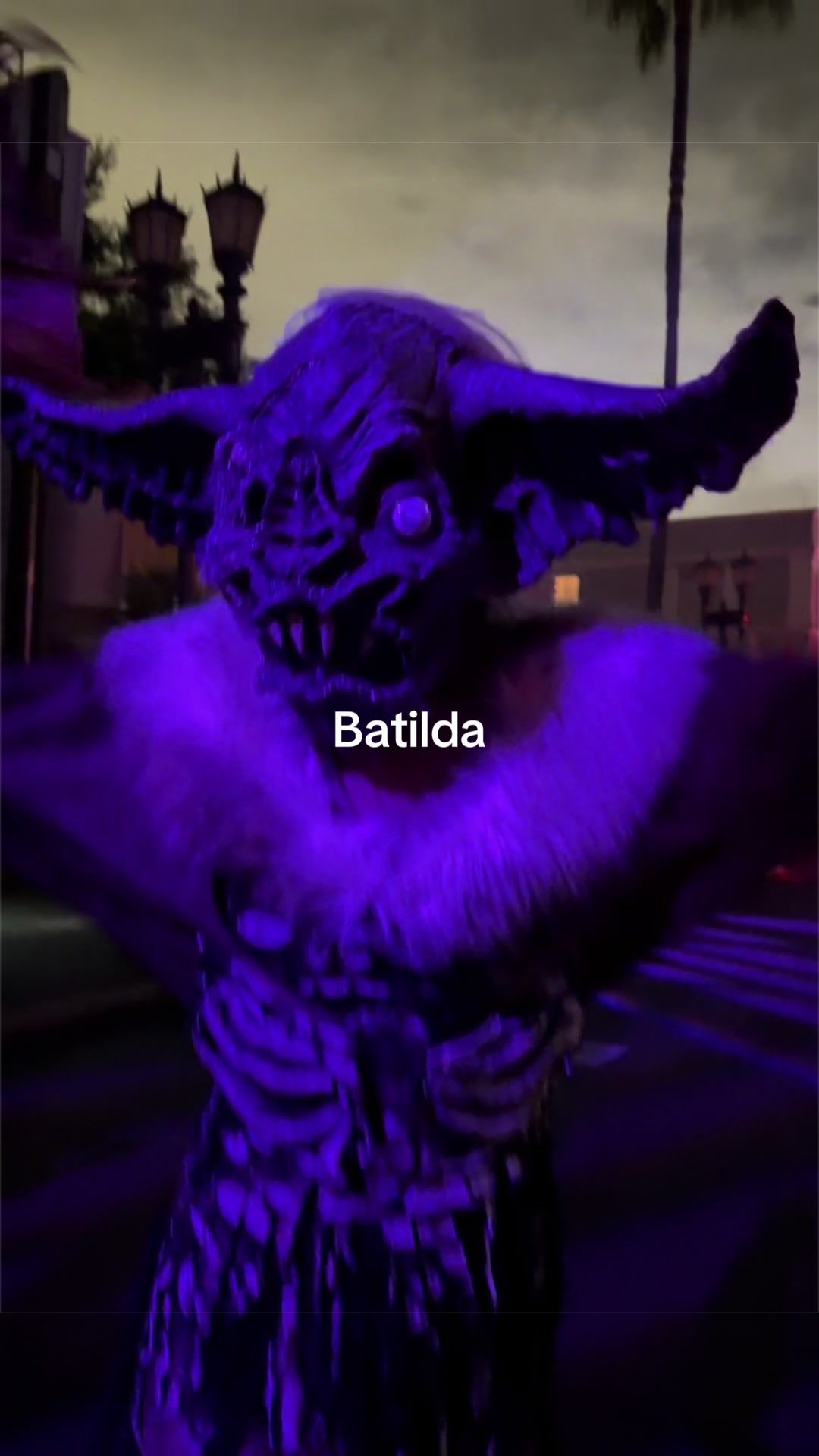 @Freaks_of_HHN
