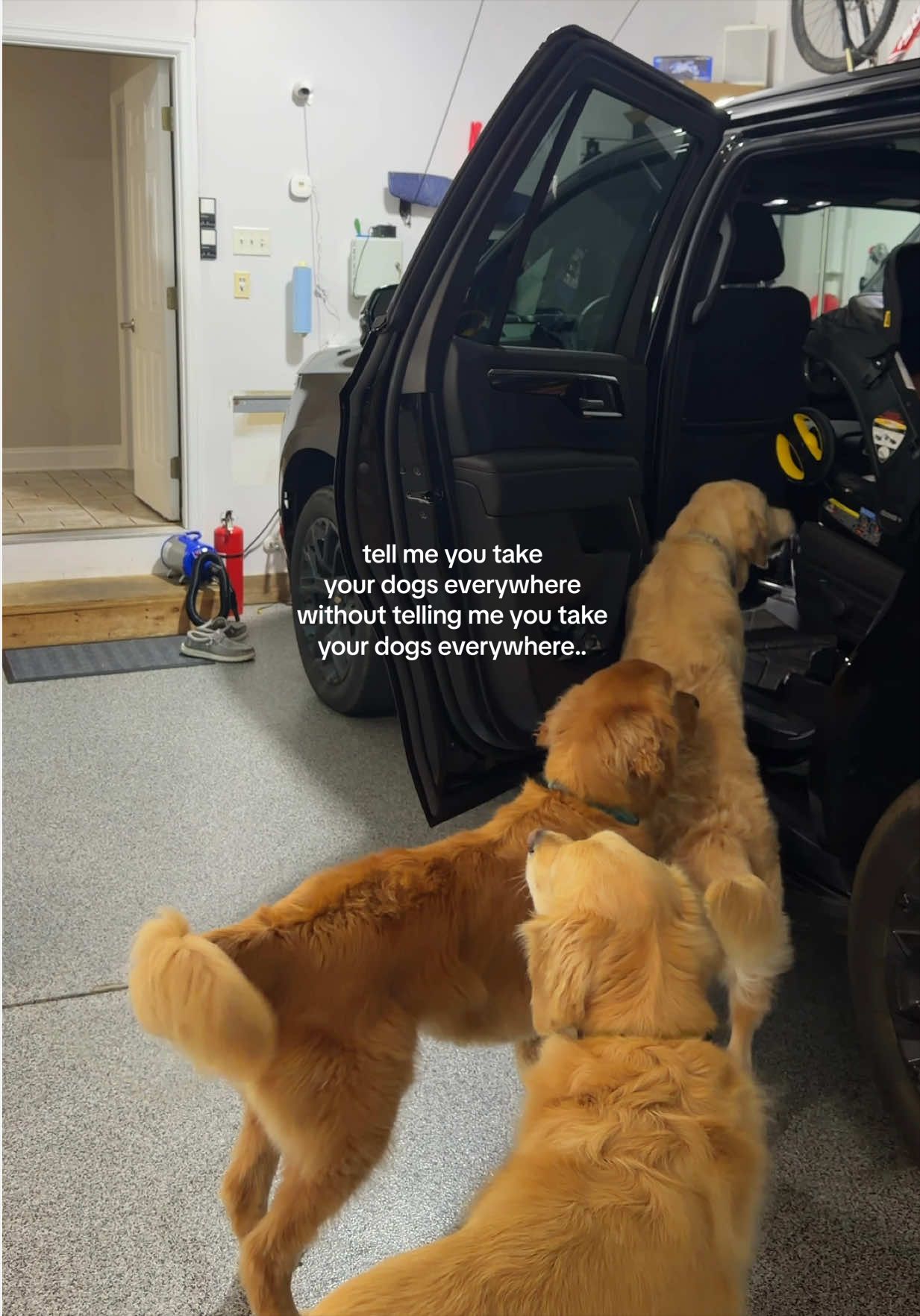 @agoldendogmom
