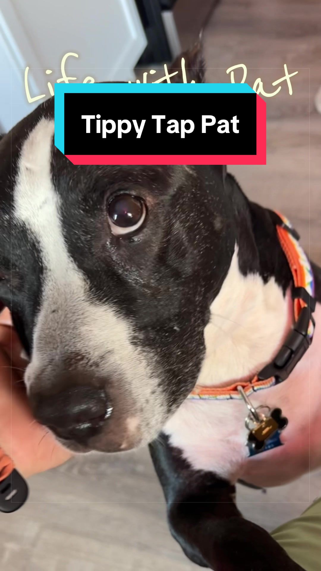 @W I L L