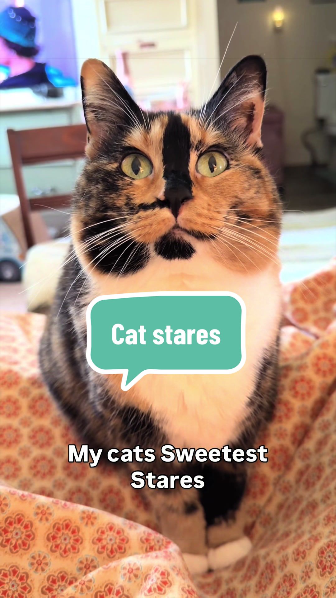 @SnickersTheSmilingCat