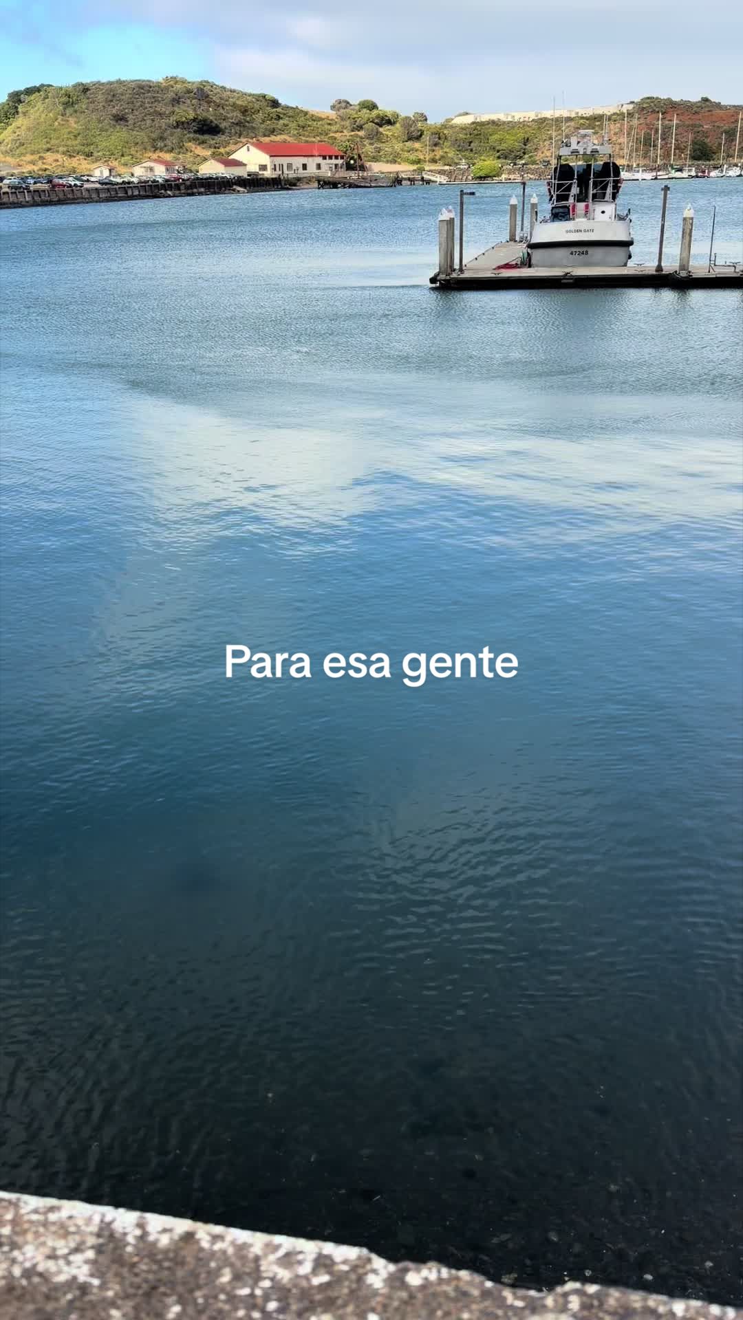 @raul perez986