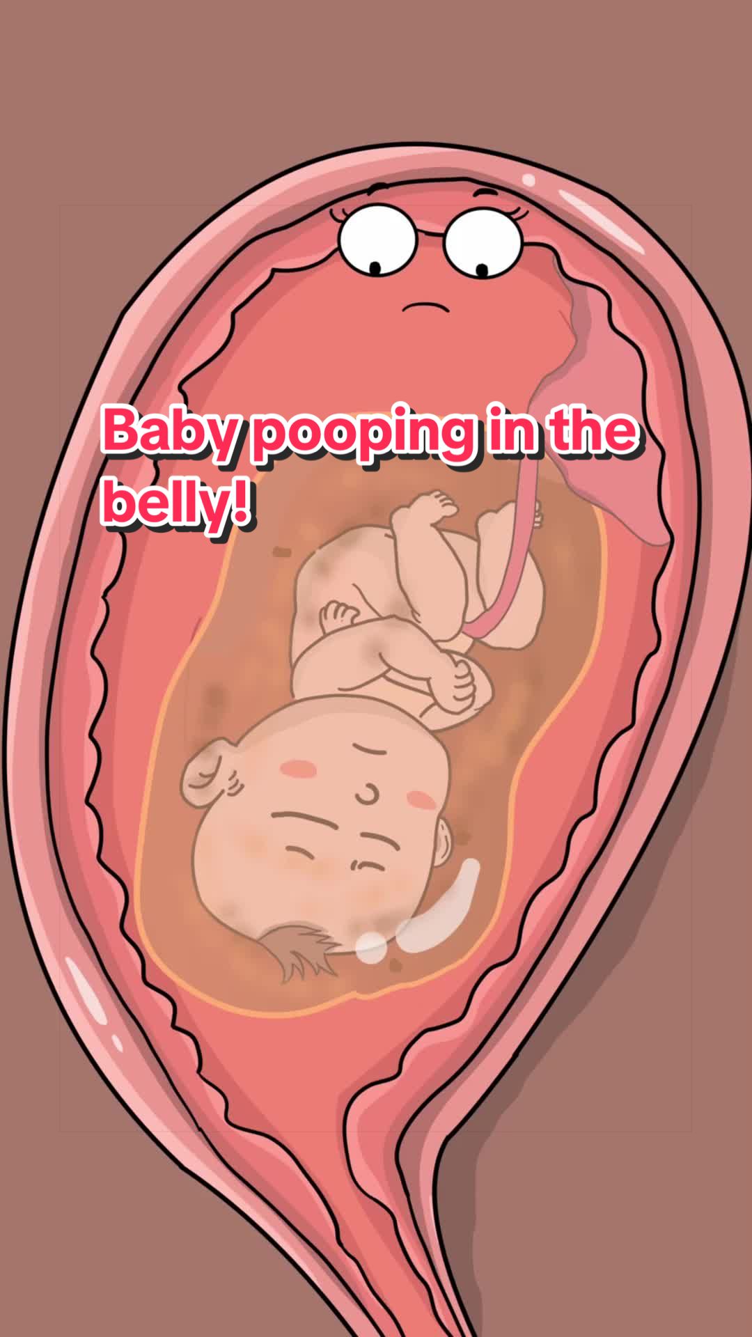 @Funny Animations