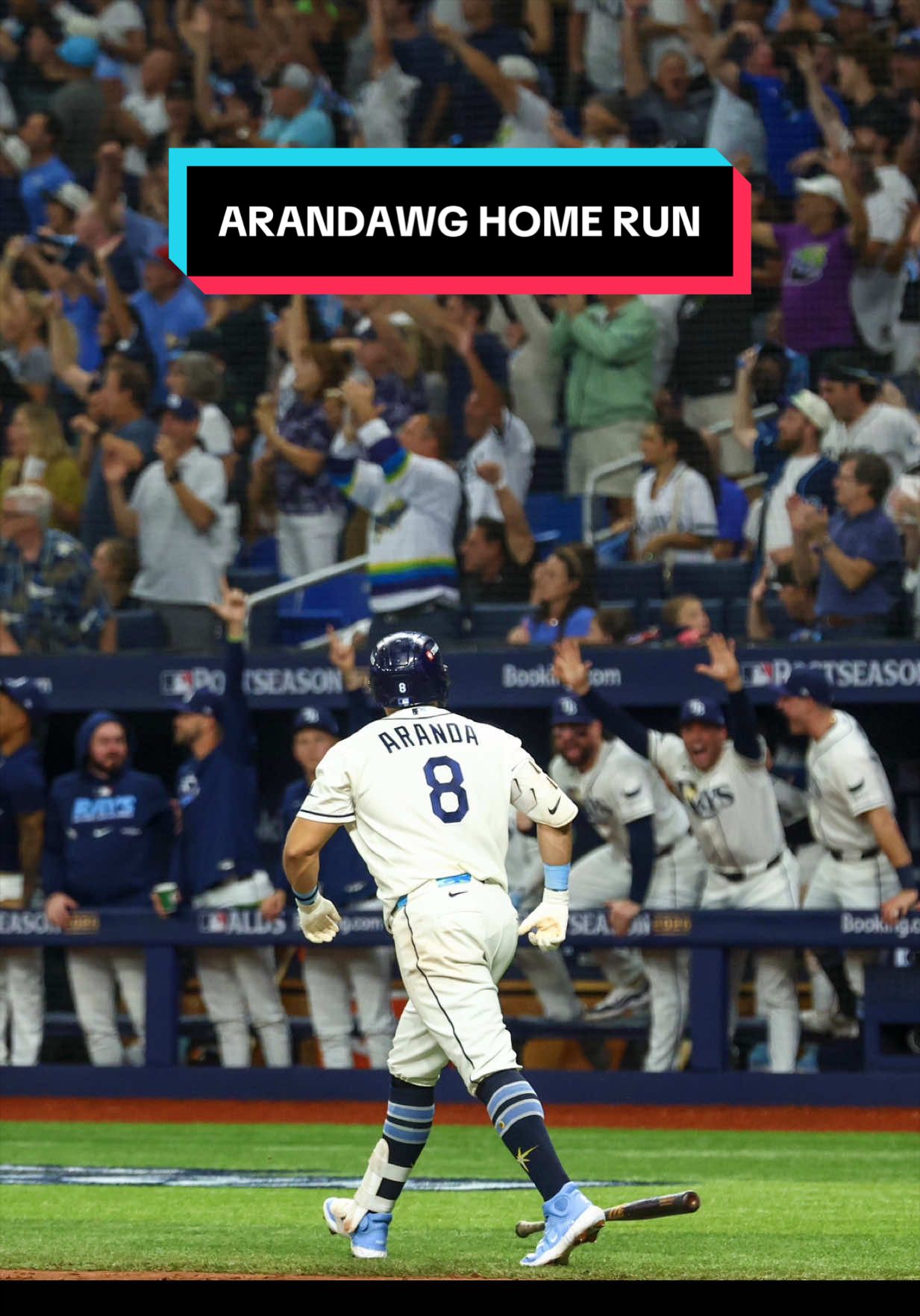 @TAMPA BAY RAYS