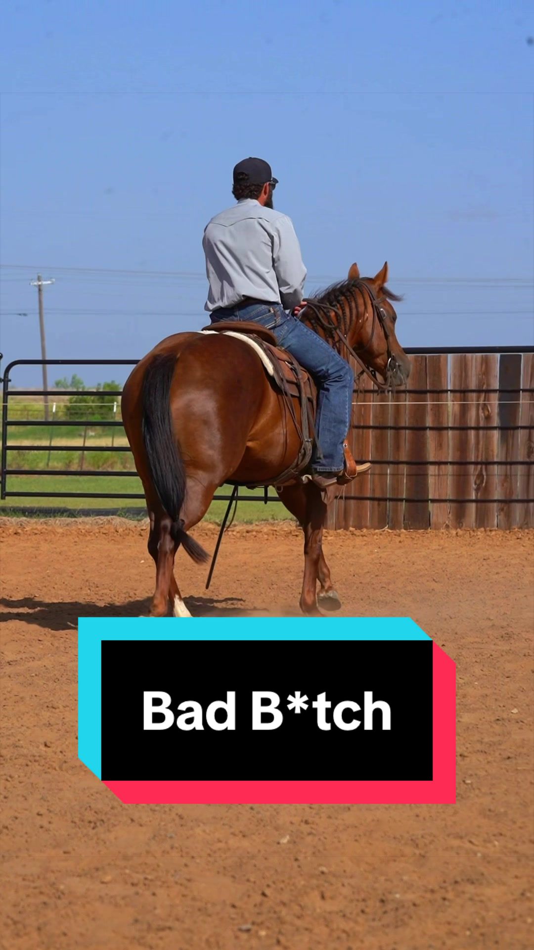 @WS Horses