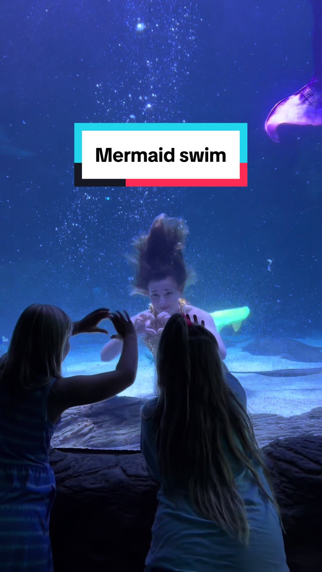 @HaleyMermaid