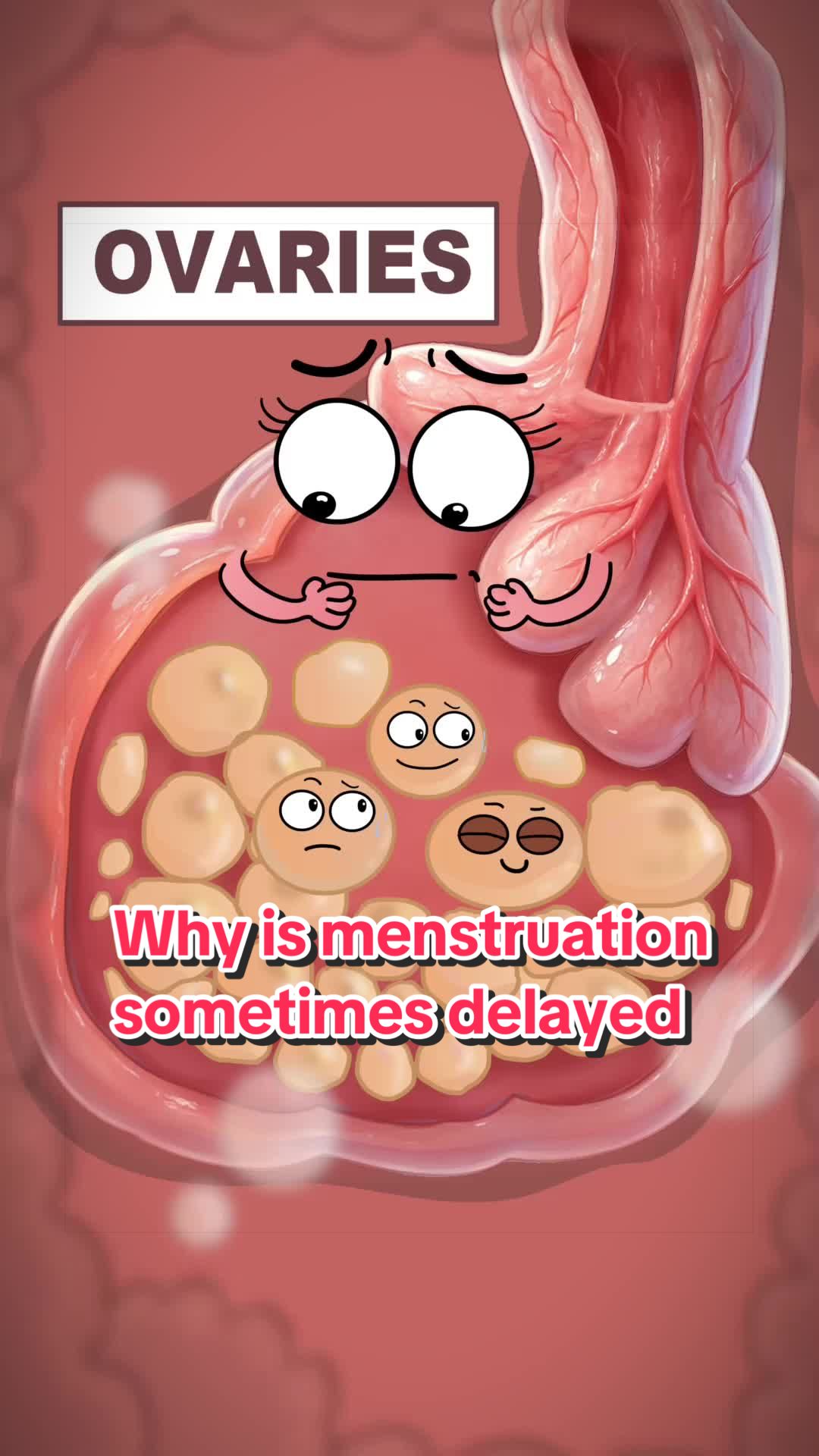 @Funny Animations