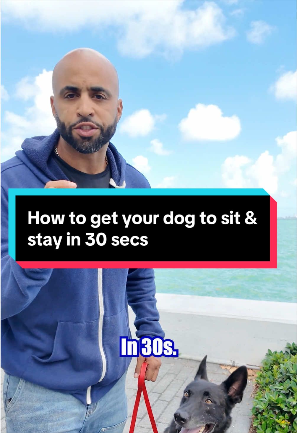 @Cali K9