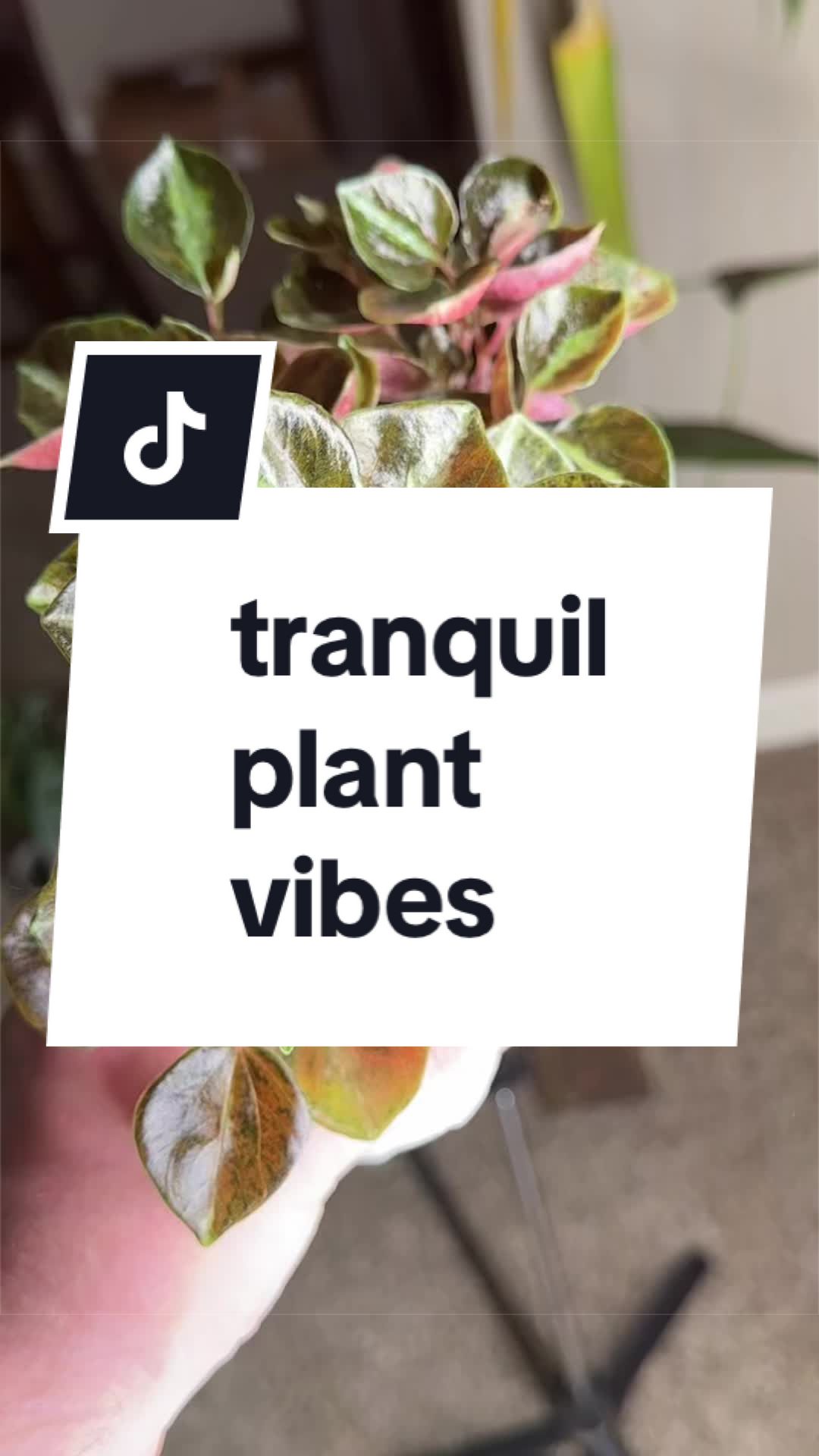 @🌱yler✨Beatty&rsquo;s Botanics