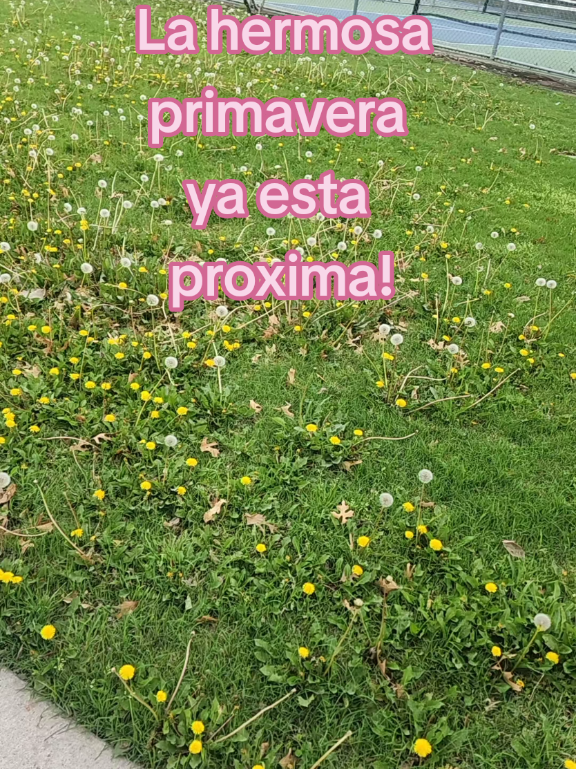 @CristalBalderas