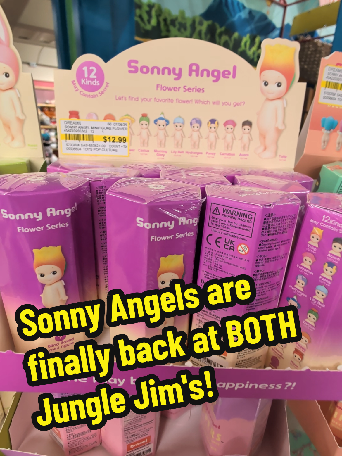 @Jungle Jim's