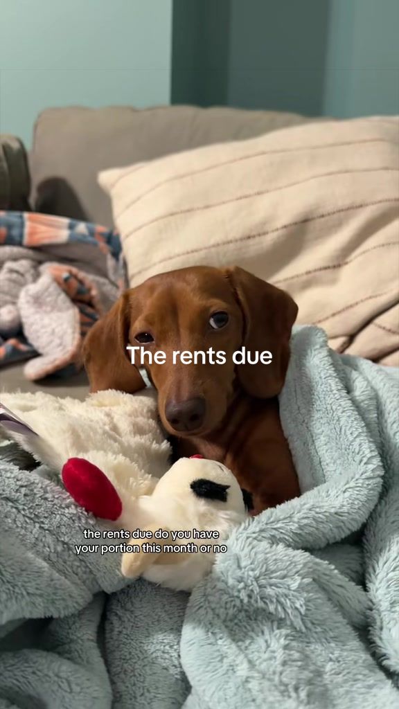 @Sarah and the Peanuts