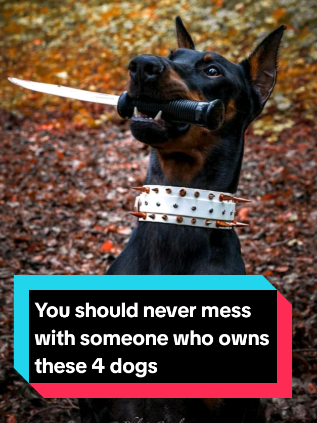 @Richy Beast