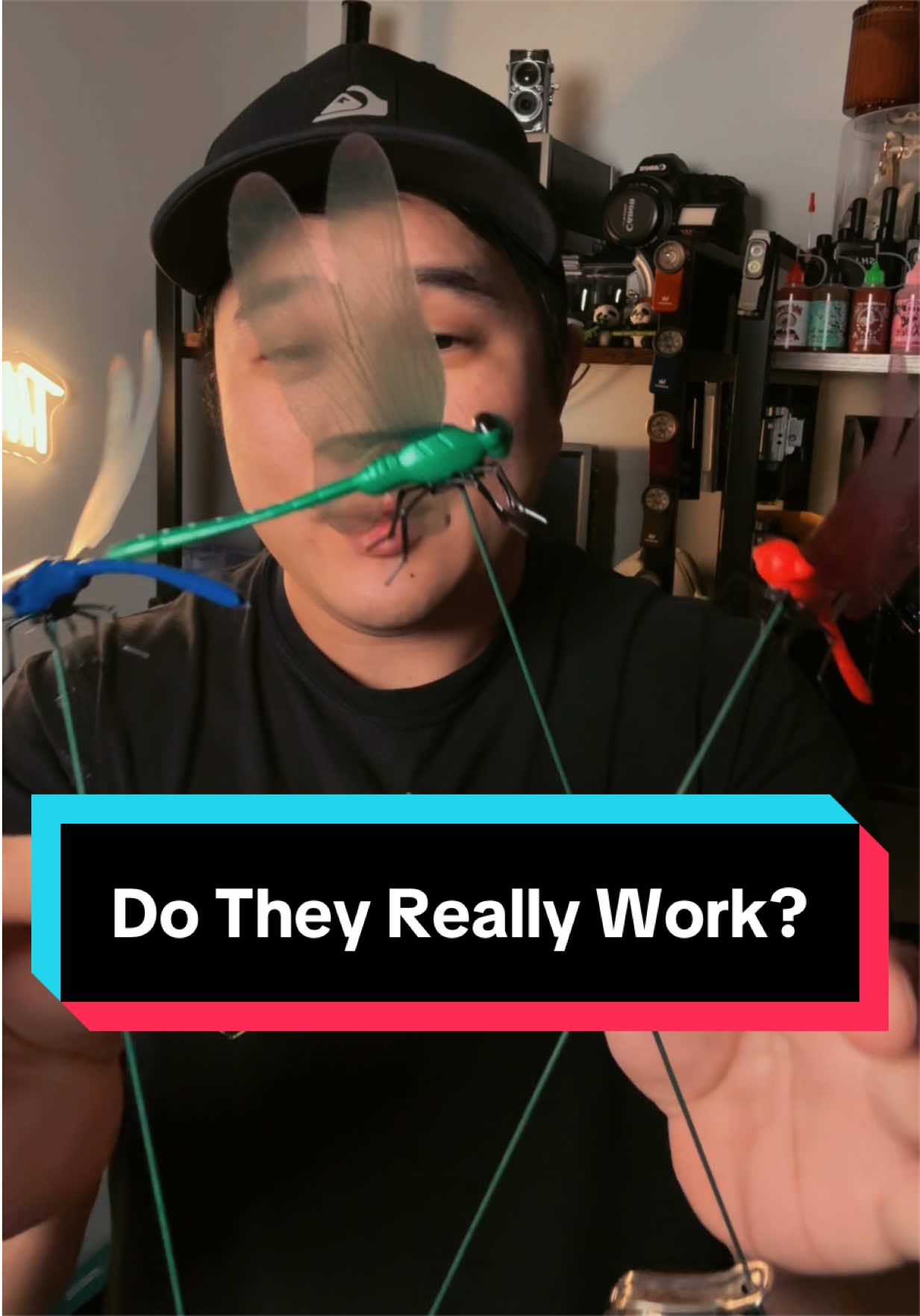 @Taco.Panda