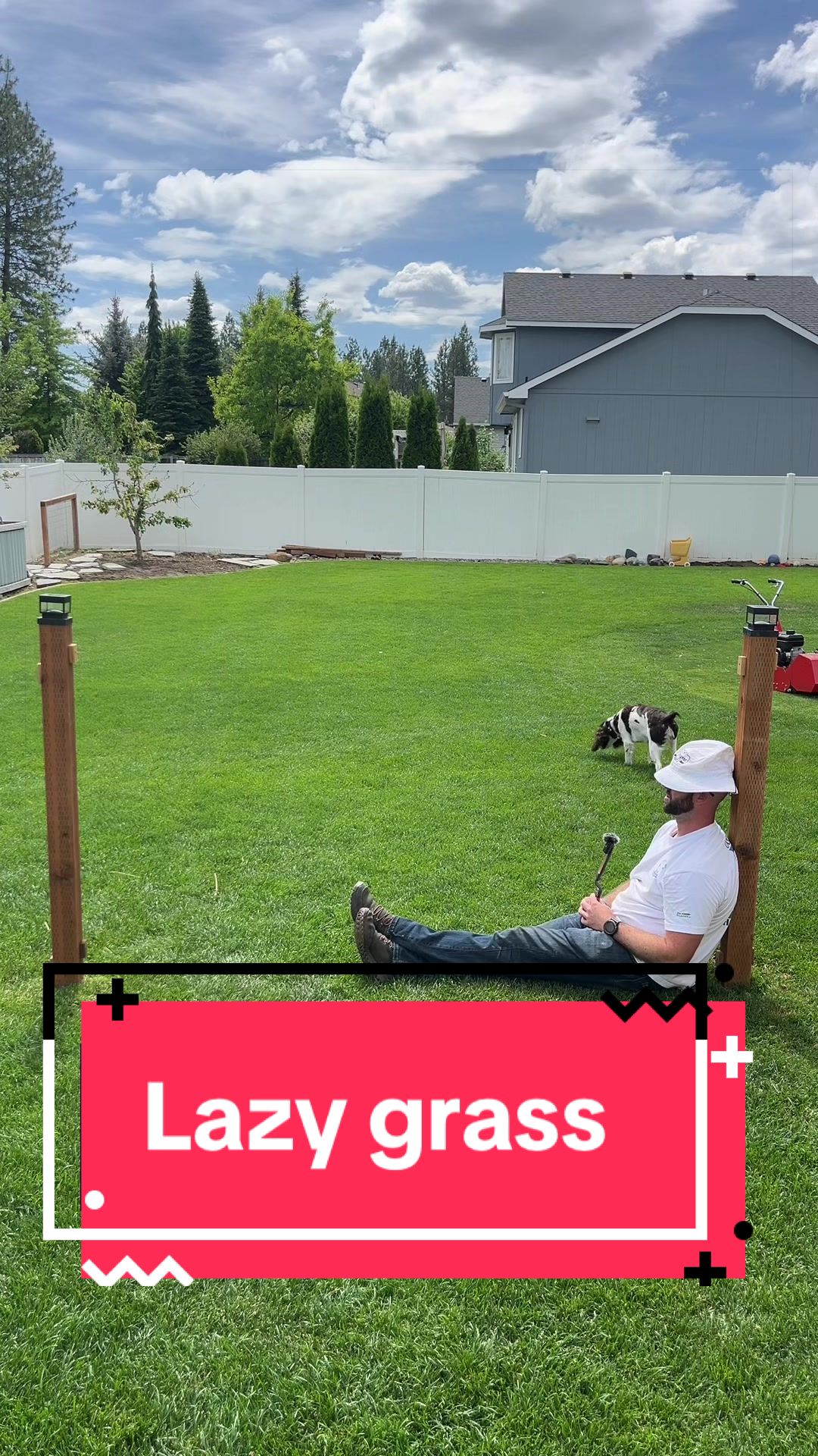 @Lawngest Yard