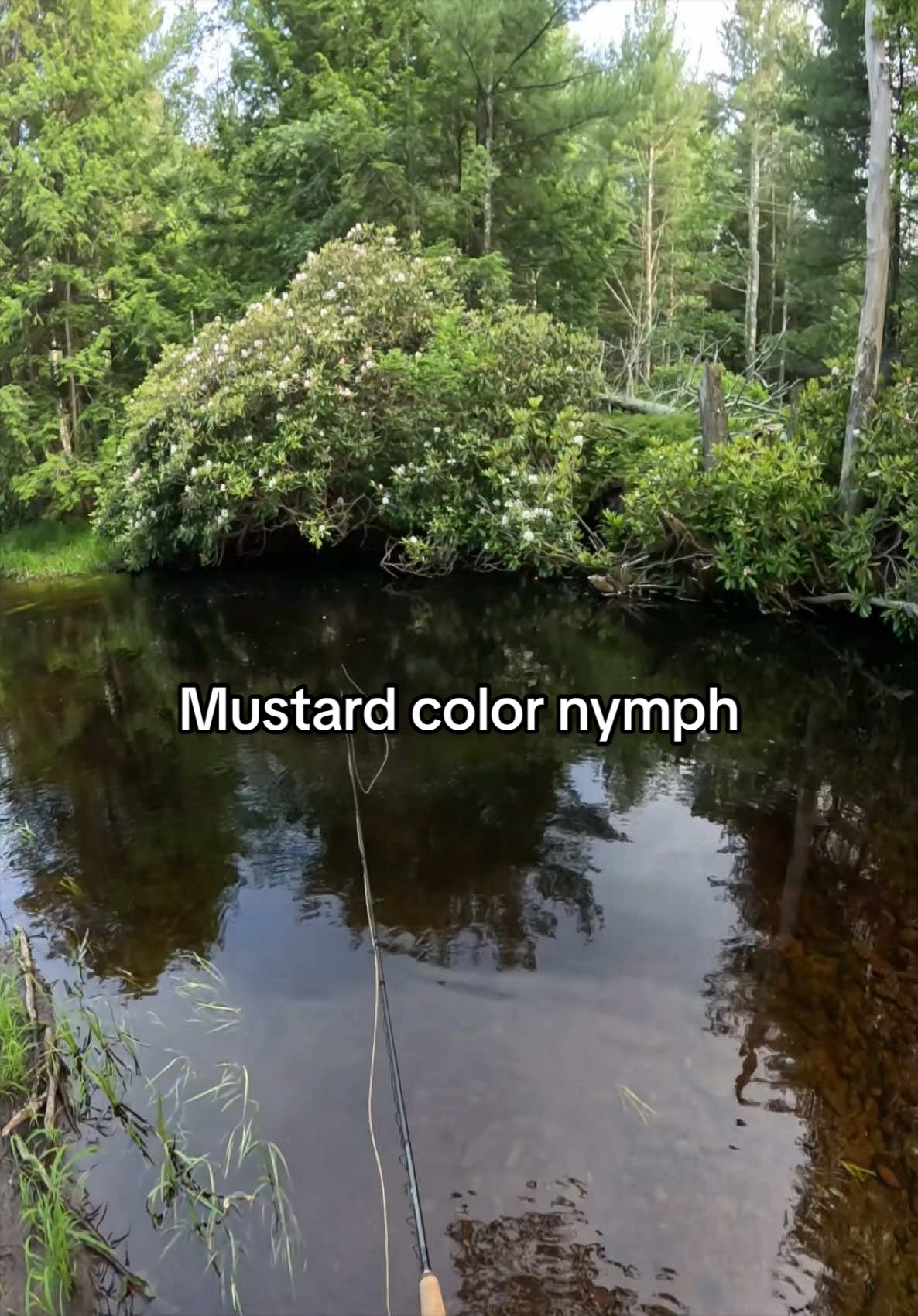 @FlyFishDelawhere