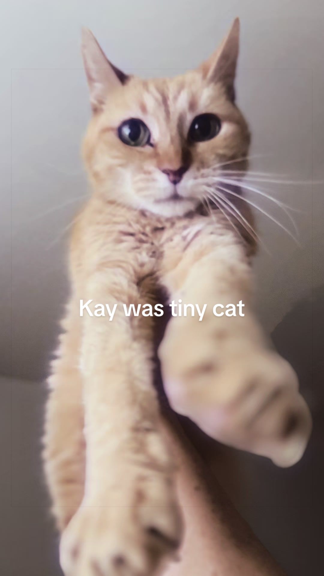 @Kay