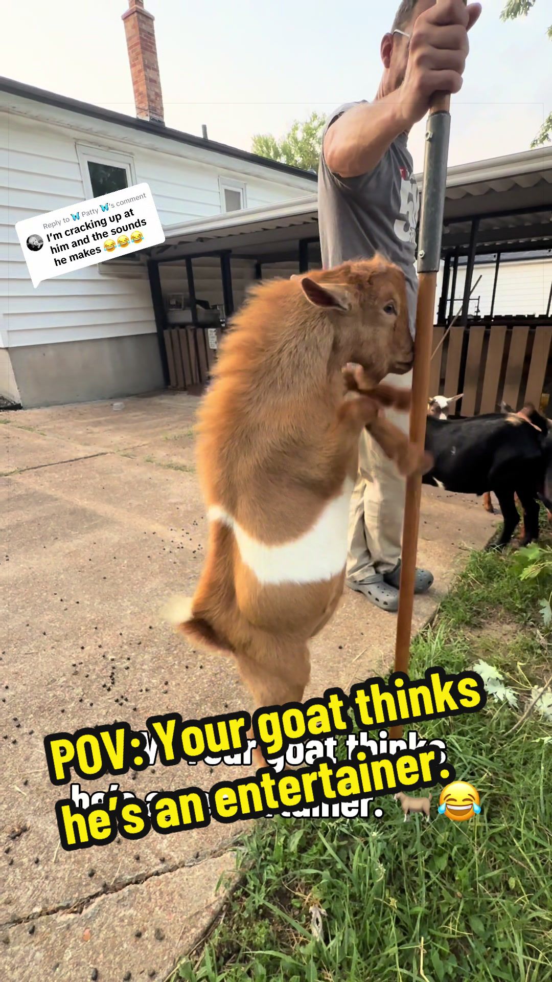 @KidsOnKerth 🐐 Hannah 💀🎃👻