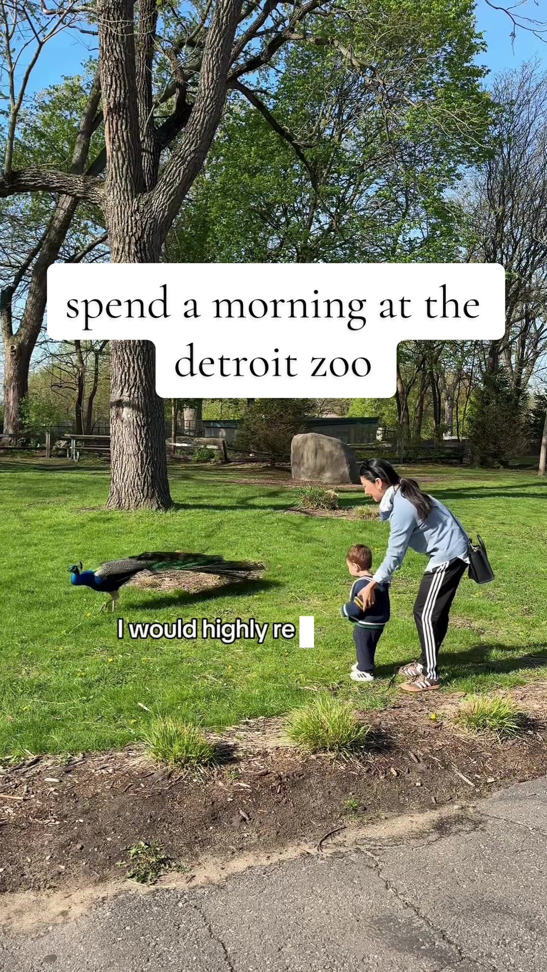 @michigan_mom