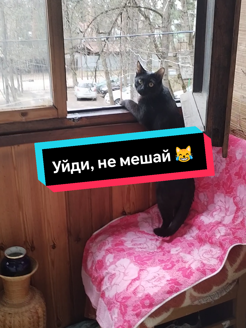 @MariNk@