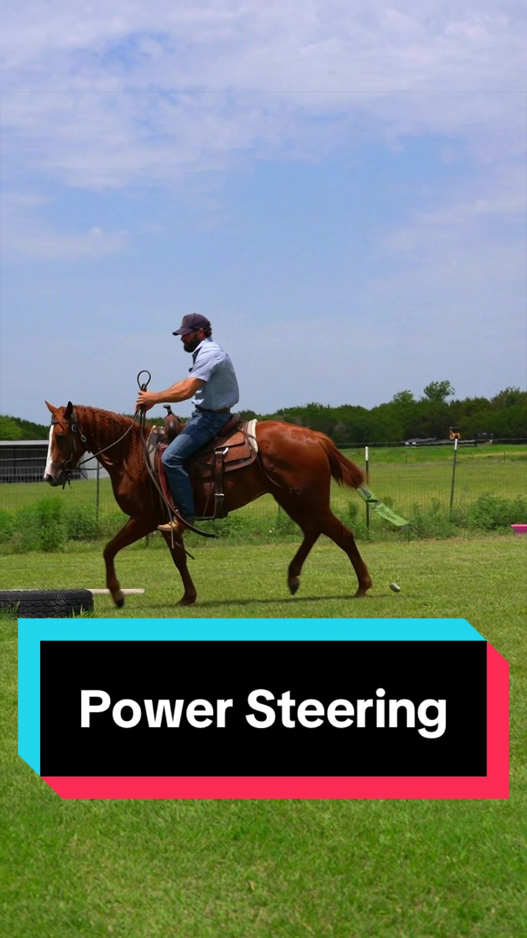 @WS Horses